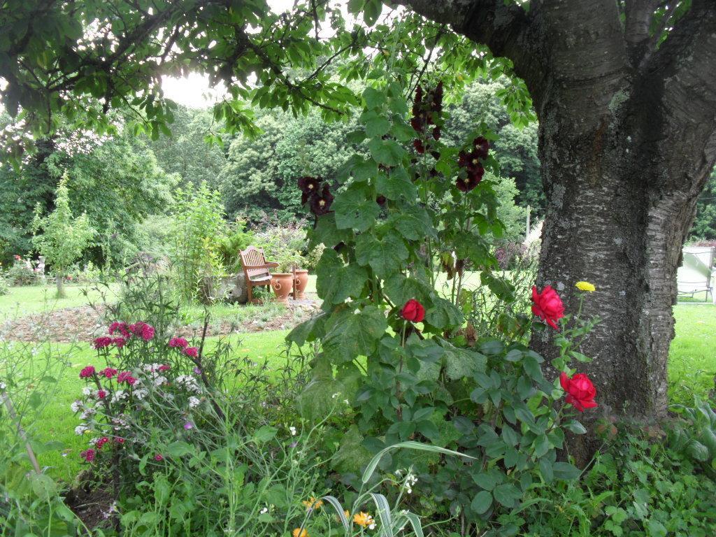 Bed and breakfast La Chevallerie Isigny-le-Buat