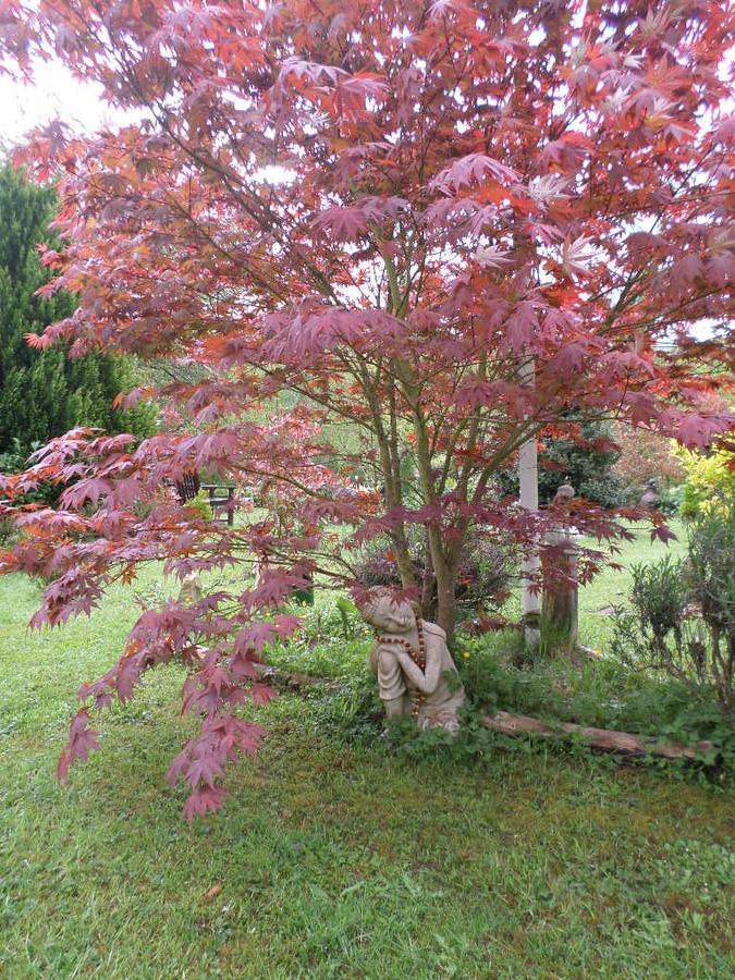 La Chevallerie Bed and breakfast Isigny-le-Buat
